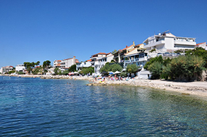 Pansion Žanić